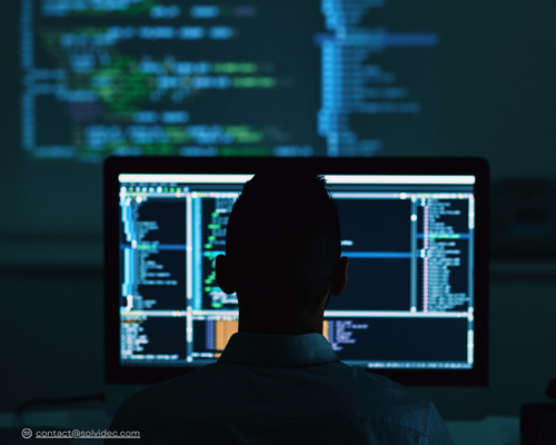 https://www.solvidec.com/assets/2024/10/service-1.png